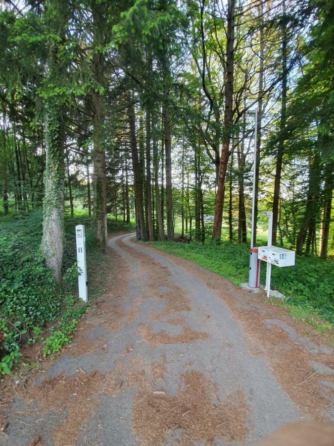 Apartament Domaine Du Parc Charvonnex Zewnętrze zdjęcie